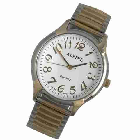 Mens Band Watch - Italic Two-Tone Expansion