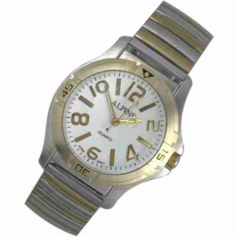Mens Band Watch - Bold 2-Tone Silver/Gold Expansion